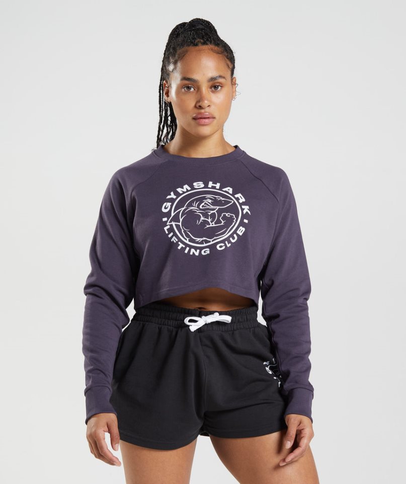 Women\'s Gymshark Legacy Cropped Sweatshirts Purple | NZ 6UTRDC